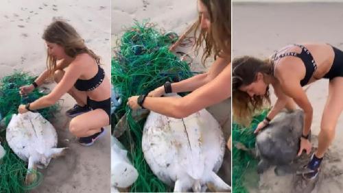 gisele.r_d.704 378 gisele.r_d.704 378