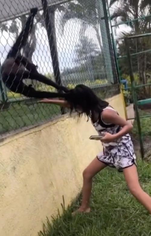 mono-cabello mono-cabello