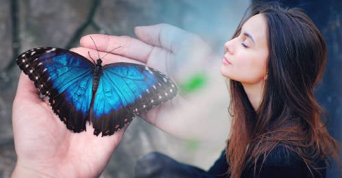 efecto mariposa que es usarlo favor vida efecto mariposa que es usarlo favor vida