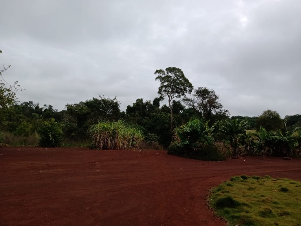 Deforestación en tierras indígenas en Jaguapiré, Tacuru, Mato Grosso del Sur | Crédito: Tonico Benites.