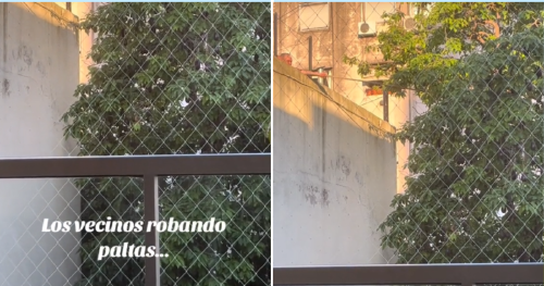 Collage portadas notas Collage portadas notas