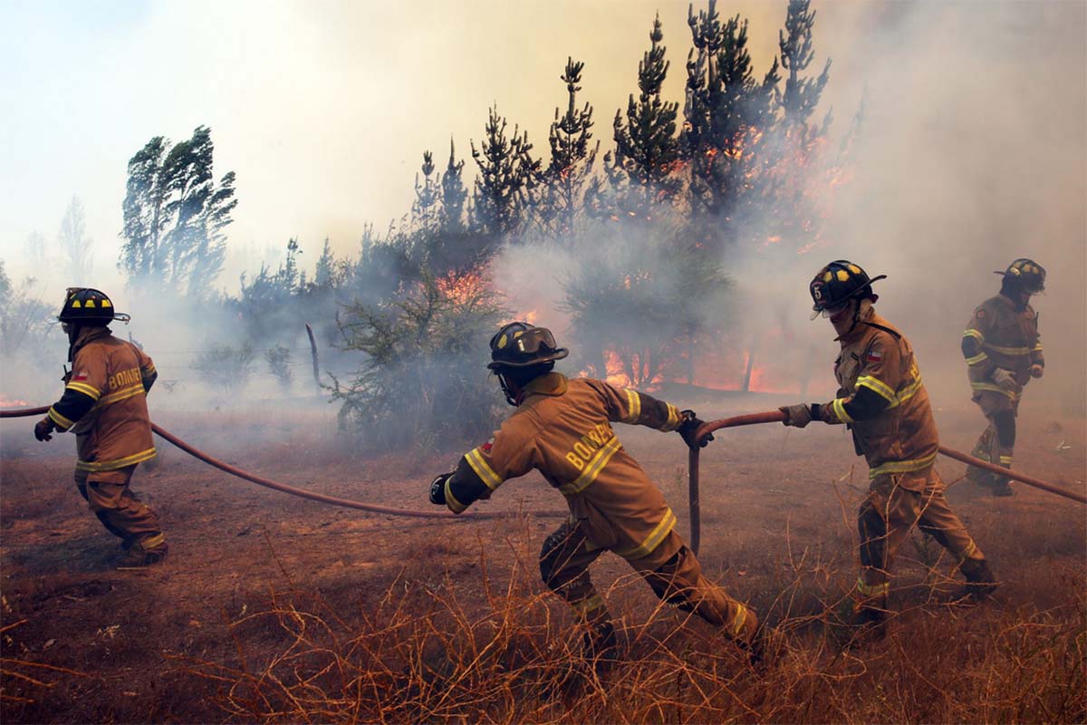 incendios chile2 incendios chile2