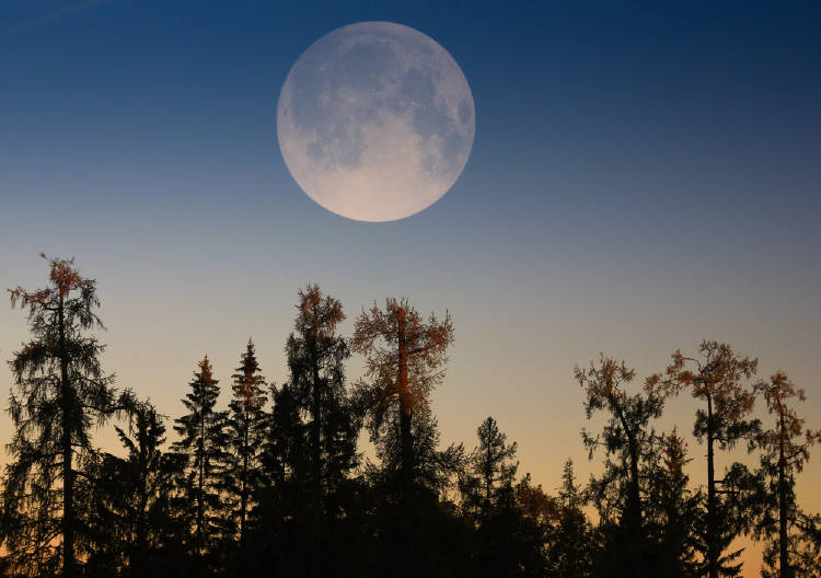 superluna superluna