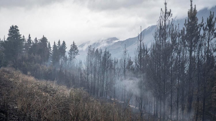 CREDITOS_ @chacay.av foto 2 CREDITOS_ @chacay.av foto 2