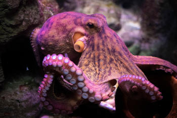 AdobeStock_365698089 AdobeStock_365698089