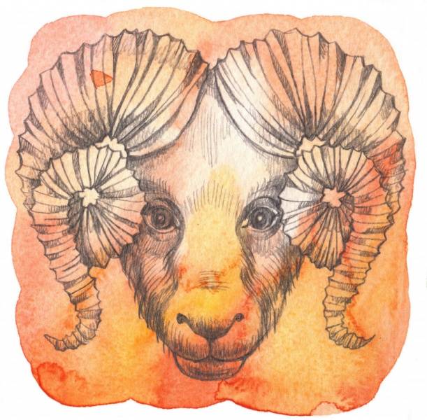 aries-zodiaco El signo del zodíaco aries