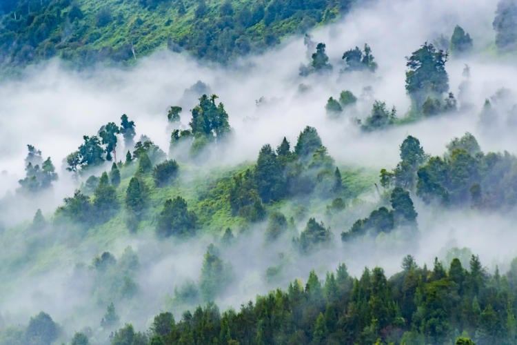 AdobeStock_182866895 AdobeStock_182866895