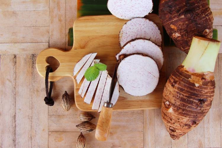 raiz de taro raiz de taro