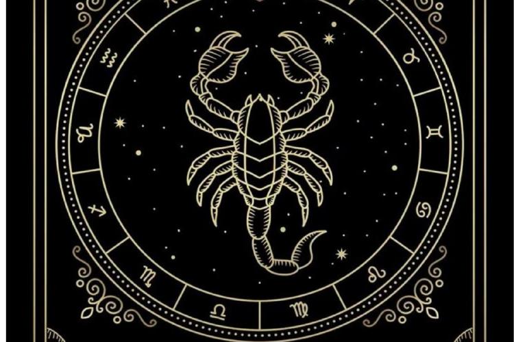 Diseño sin título 2024 10 21T214302.176 Diseño sin título 2024 10 21T214302.176