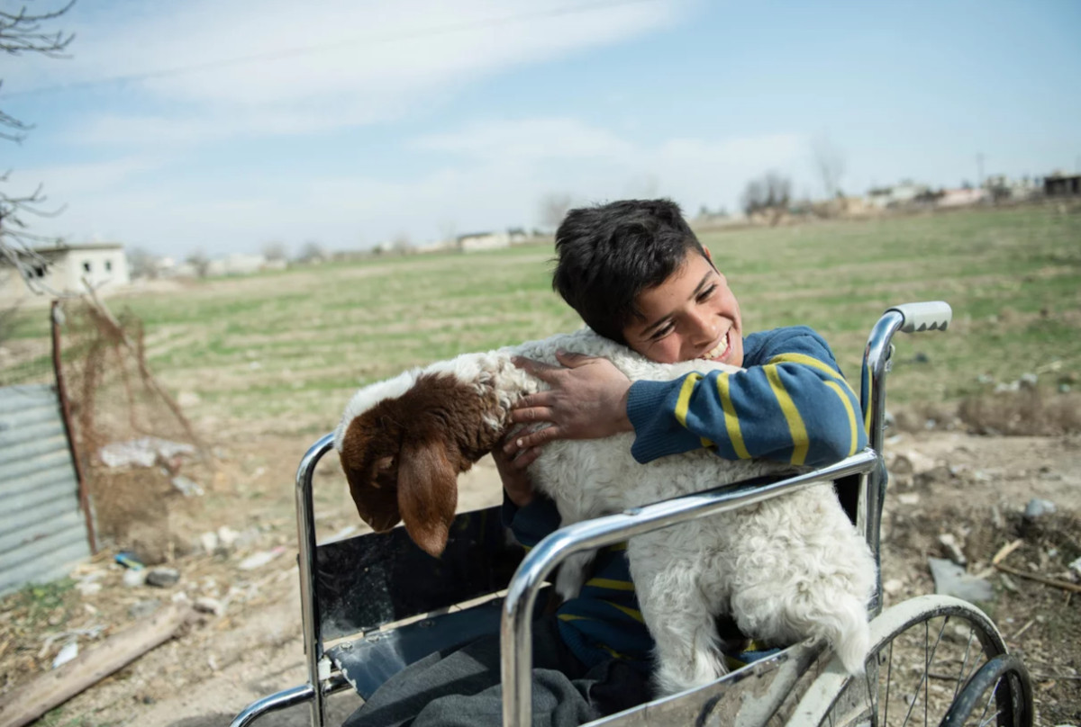 miño siria miño siria