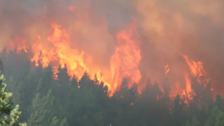incendios patagonia Las condiciones climáticas complejas, caracterizadas por altas temperaturas, baja humedad relativa y vientos intensos, crean un ambiente propicio para la propagación del fuego.