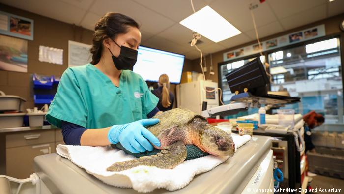 63922642_303 63922642_303