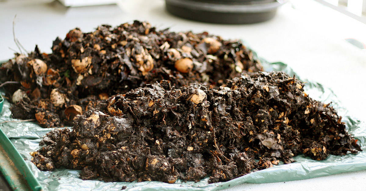 Consejos para que empieces a hacer compost hoy mismo