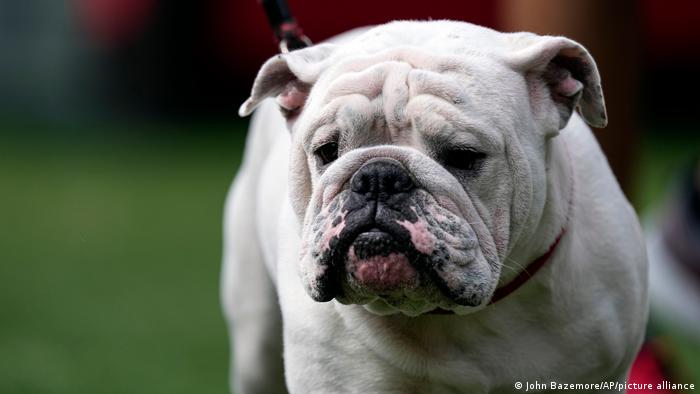 67522282_303 67522282_303