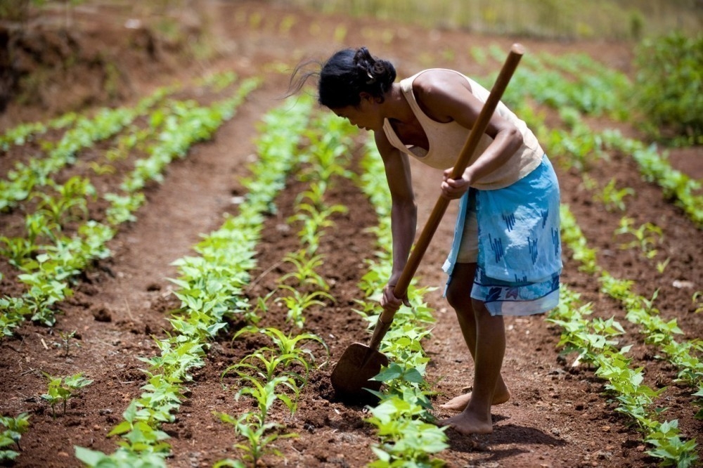 Una estudiante le enseña agricultura sustentable a madres solteras