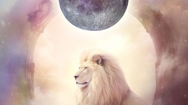 luna llena leo Las Lunas llenas tienen energía de culminación, de cierre de ciclos, y cuando ocurren en el signo del león, la atención se pone sobre todo lo que tiene que ver con la individualidad (Foto: Pinterest)