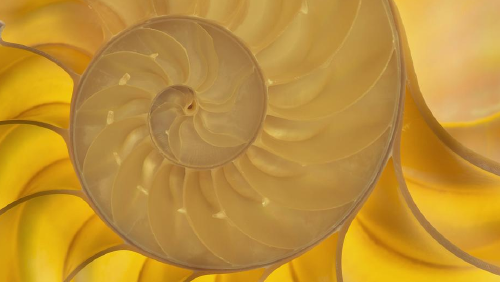 67143194_1004 67143194_1004