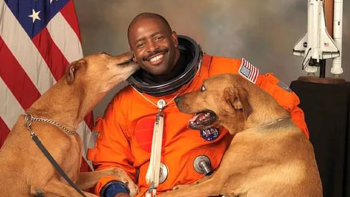 astronauta perros