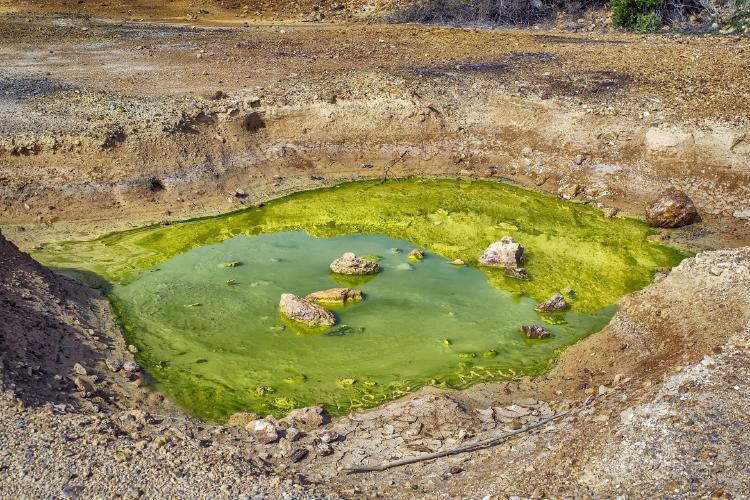 ¿Qué es un problema ambiental?: Causas y consecuencias