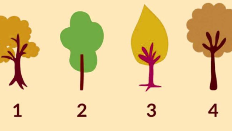 test Test de personalidad: elige un árbol para saber si tienes autoconfianza.