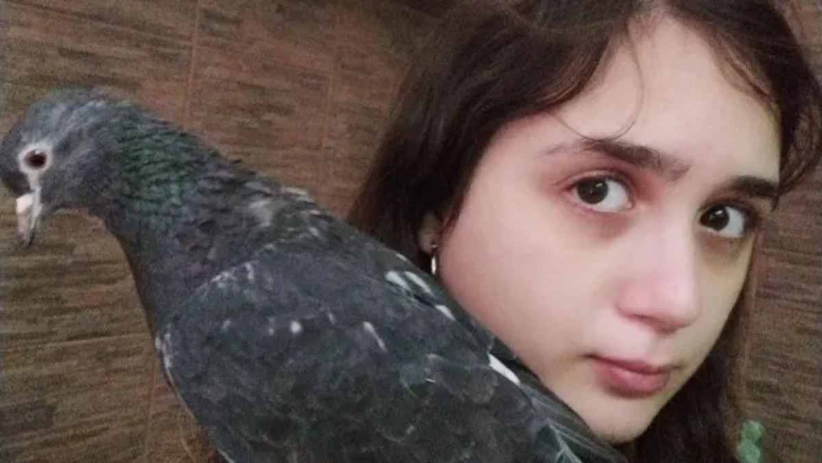 lu y andre palomas buenos aires3 lu y andre palomas buenos aires3