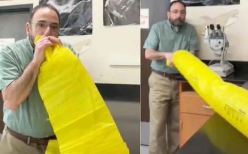 bernoulli tiktok bernoulli tiktok