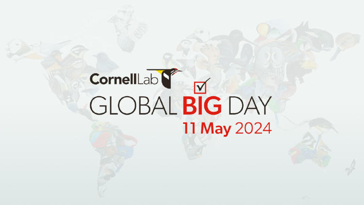 poster global big day poster global big day