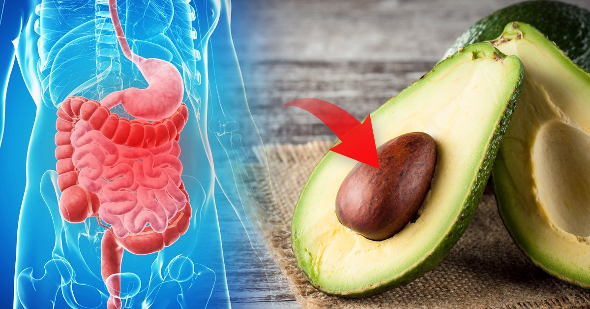 Lo que debes saber antes de comer el carozo de la palta Lo que debes saber antes de comer el carozo de la palta