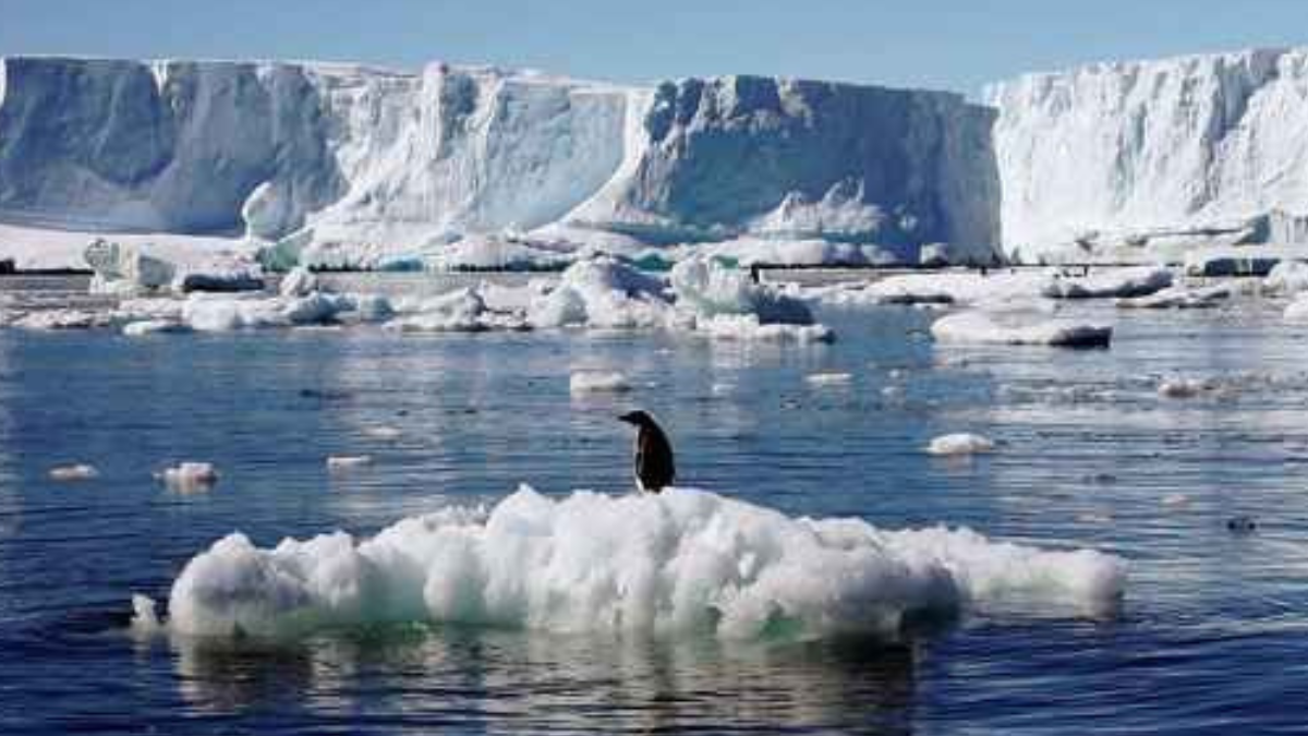 Este cambio drástico posee implicaciones significativas para el clima global, los ecosistemas y el aumento del nivel del mar. Foto (Pinterest)