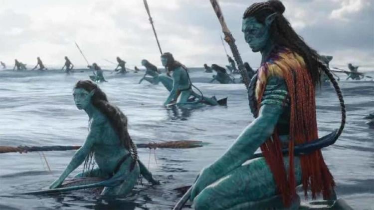 avatar 222 avatar 222