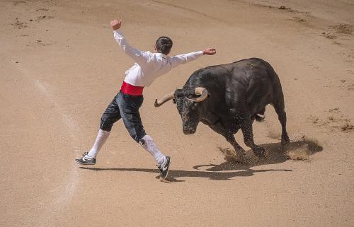 toros españa toros españa