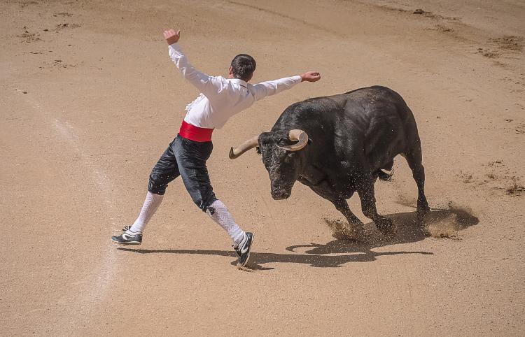 toros españa toros españa