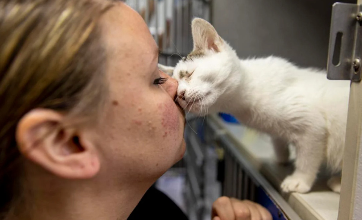 refugio mascotas refugio mascotas