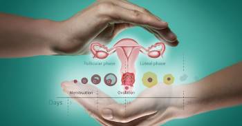 Todo lo que deberías saber sobre la ovulación y el ciclo menstrual