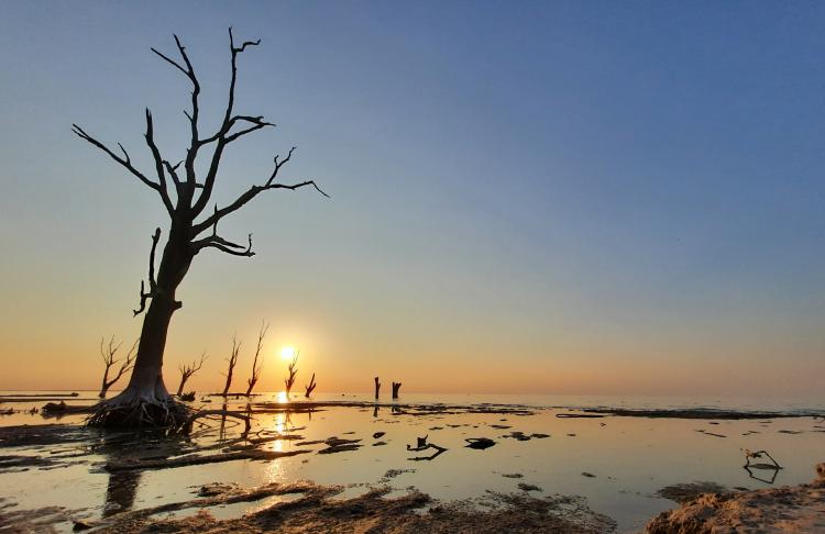 ATARDECER 2 ATARDECER 2