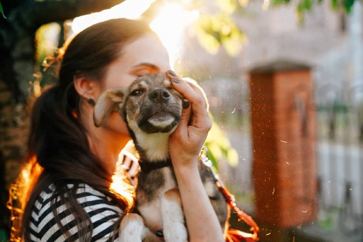 mujer perro adoptar un perro
