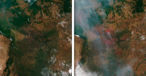 Reportan 1.000 nuevos incendios en el Amazonas