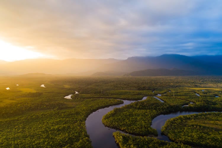 Amazonas