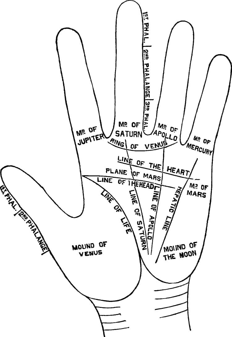 palma de la mano palma de la mano