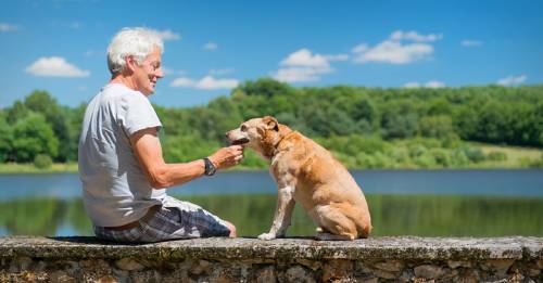 La historia del hombre cascarrabias al que un perro le cambió la vida