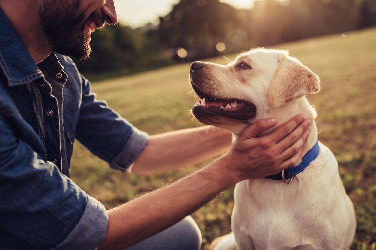 le gusta a las mascotas que les hablen como bebés