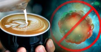 descubren cafe inhibir tipo cancer