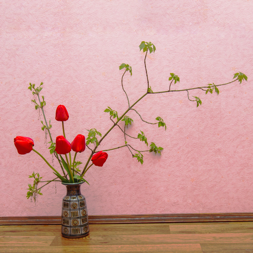 IKEBANA ARREGLO FLORAL TECNICA JAPONESA IKEBANA ARREGLO FLORAL TECNICA JAPONESA