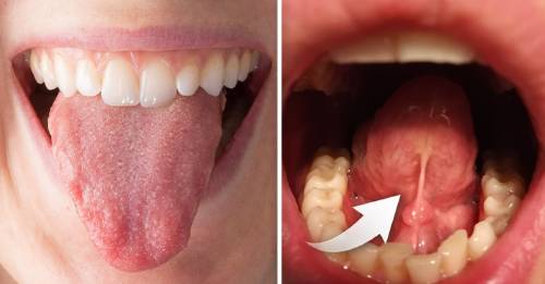 5 curiosidades sobre tu lengua que te encantará conocer 5 curiosidades sobre tu lengua que te encantará conocer
