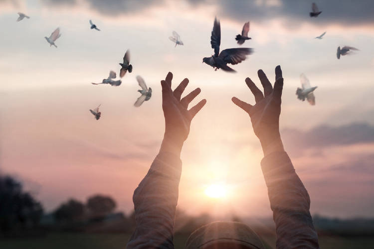 Manos al cielo y pájaros volando Manos al cielo y pájaros volando