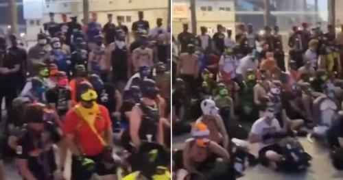 Protesta perros trans especie Protesta perros trans especie