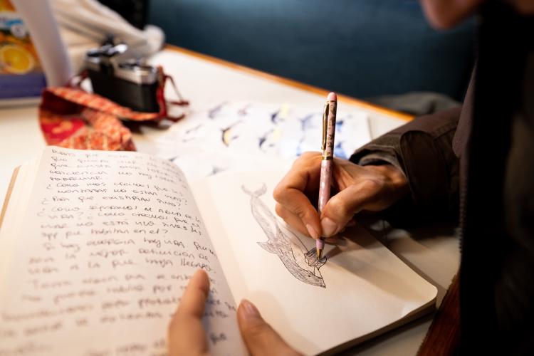 Foto de Joel Reyero Expedición marina de la fundación Por El Mar (PEM) Foto de Joel Reyero Expedición marina de la fundación Por El Mar (PEM)