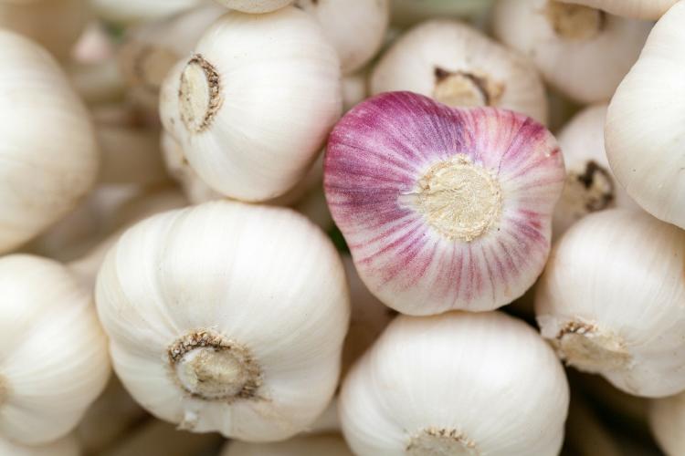 garlic-84691_1920 garlic-84691_1920