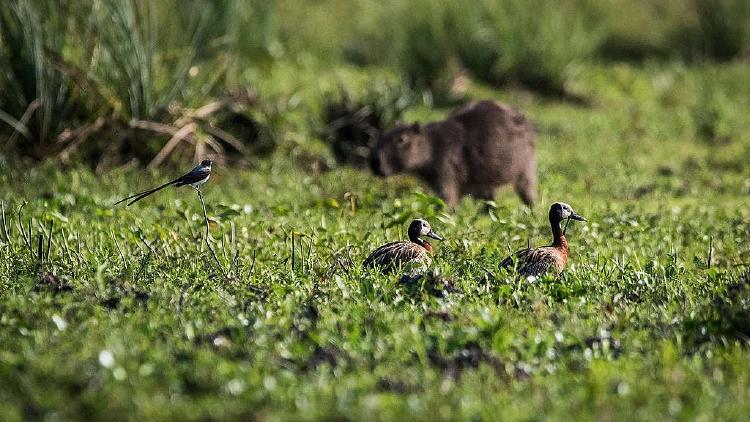 3c712da8 2 eduardo bodino 40 1024x576 3c712da8 2 eduardo bodino 40 1024x576