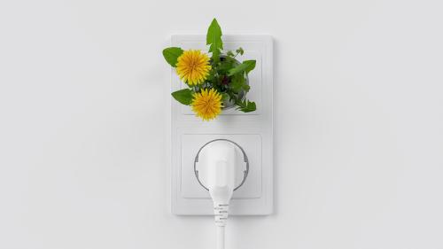 ¿Qué son las energías alternativas? Definición y ejemplos